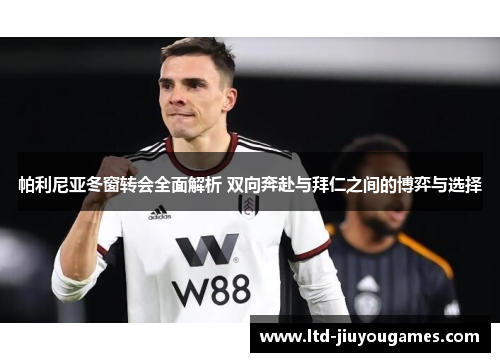 帕利尼亚冬窗转会全面解析 双向奔赴与拜仁之间的博弈与选择