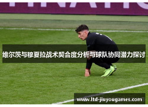 维尔茨与穆夏拉战术契合度分析与球队协同潜力探讨