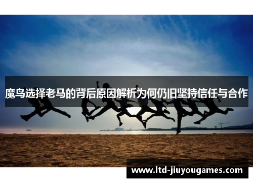 魔鸟选择老马的背后原因解析为何仍旧坚持信任与合作